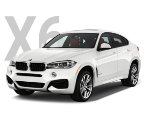 Изображение кузова BMW X6